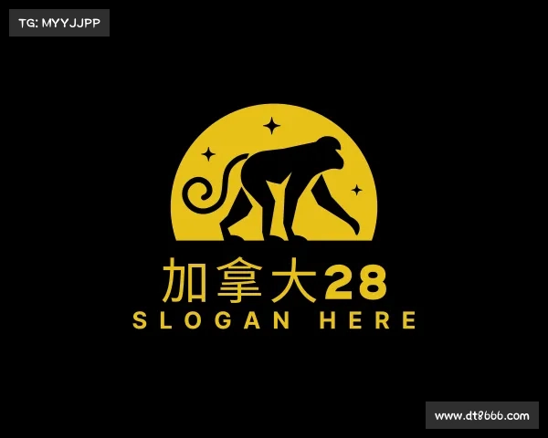关于加拿大28